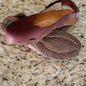 El Naturalista Wakataua